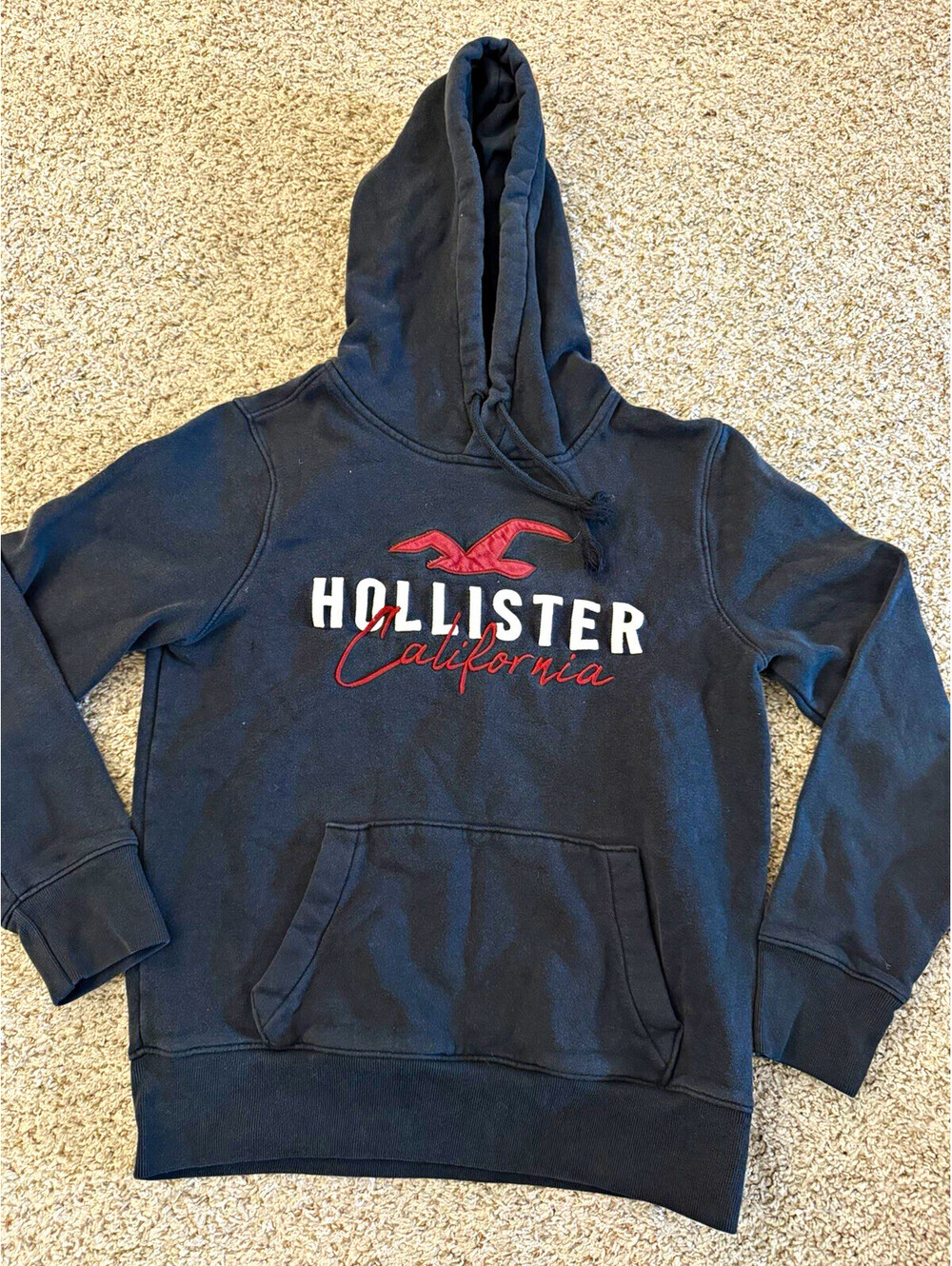 Hollister California Black Embroidered Logo Hoodie Mens Size XS Seagull Y2K